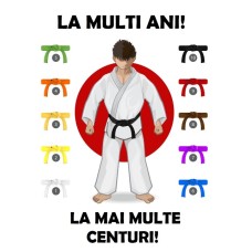 5586514 Karate felicitari pentru centura luata imagine comestibila din vafa 30x20cm